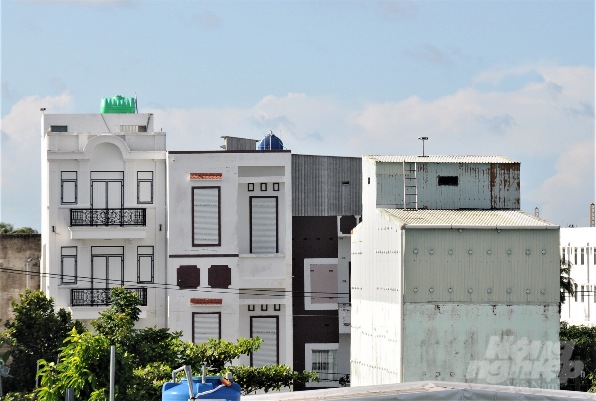 Chim yến 'hụt hơi' khiến nhiều nhà dẫn dụ không còn hiệu quả