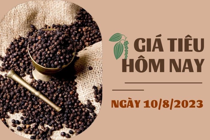 Giá tiêu hôm nay 10/8: Thị trường lặng sóng, cao su SHFE giảm dưới 0,5%