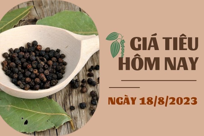 Giá tiêu hôm nay 18/8: Giảm đồng loạt, cao su không quá 0,5%