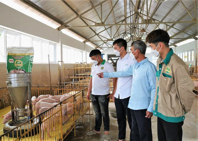 Hải Dương kiểm tra 32 cơ sở kinh doanh thuốc thú y