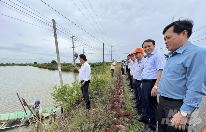 Phát triển kinh tế, bảo vệ môi trường từ mô hình tôm - rừng
