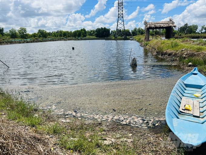 Phát triển kinh tế, bảo vệ môi trường từ mô hình tôm - rừng