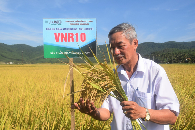 VNR10 cho năng suất 'phi thường' trong vụ hè thu