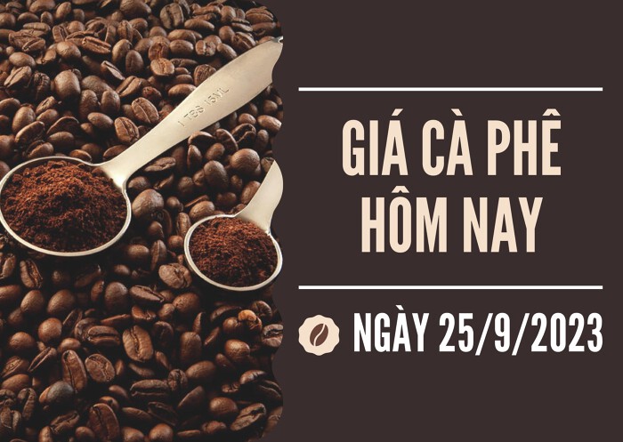 Giá cà phê hôm nay 25/9: Thị trường thế giới giảm Giá cà phê hôm nay 25/9: Thị trường thế giới giảm
