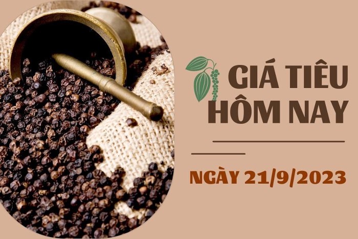 Giá tiêu hôm nay 21/9: Tiếp tục ổn định, cao su TOCOM tăng dưới 1%