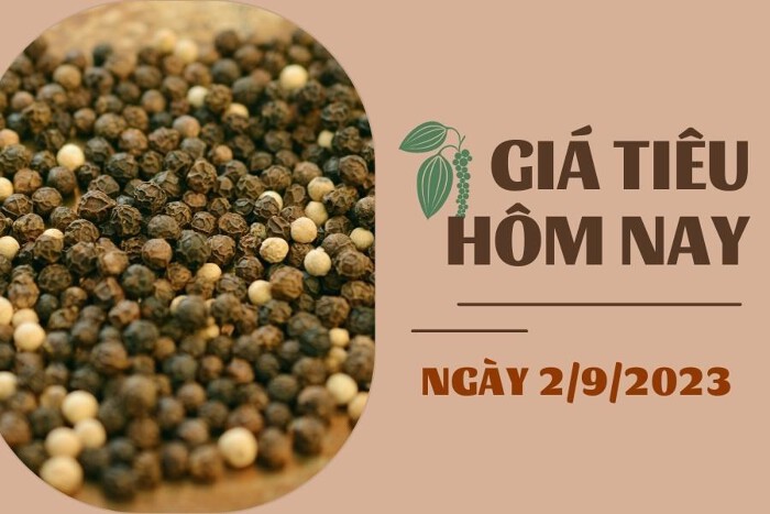 Giá tiêu hôm nay 2/9: Tiếp tục đi ngang, cao su tăng hơn 2%