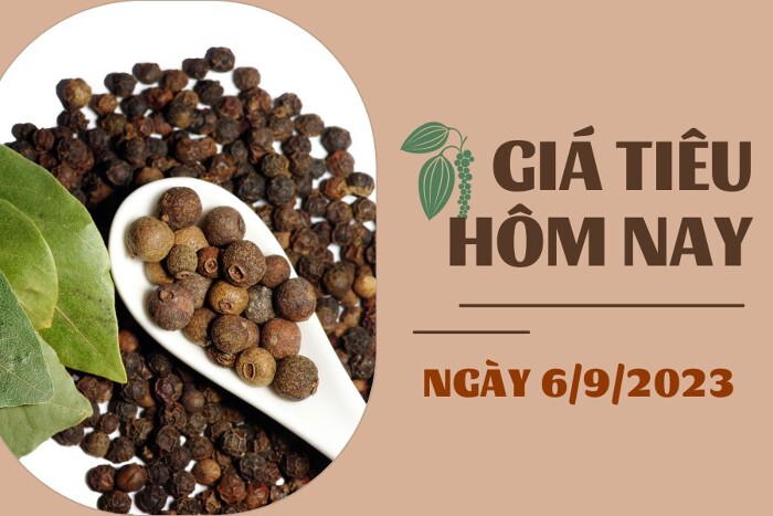 Giá tiêu hôm nay 6/9: Chạm mốc 73.000 đồng/kg, cao su biến động dưới 2%
