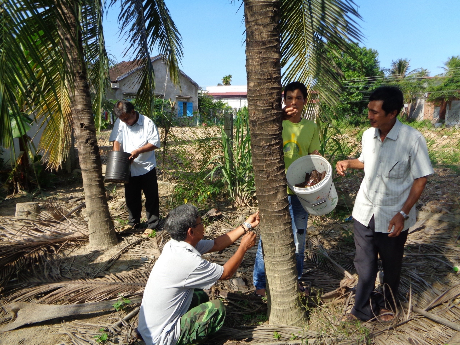Nam Trung bộ - Tây Nguyên thắng lớn vụ hè thu