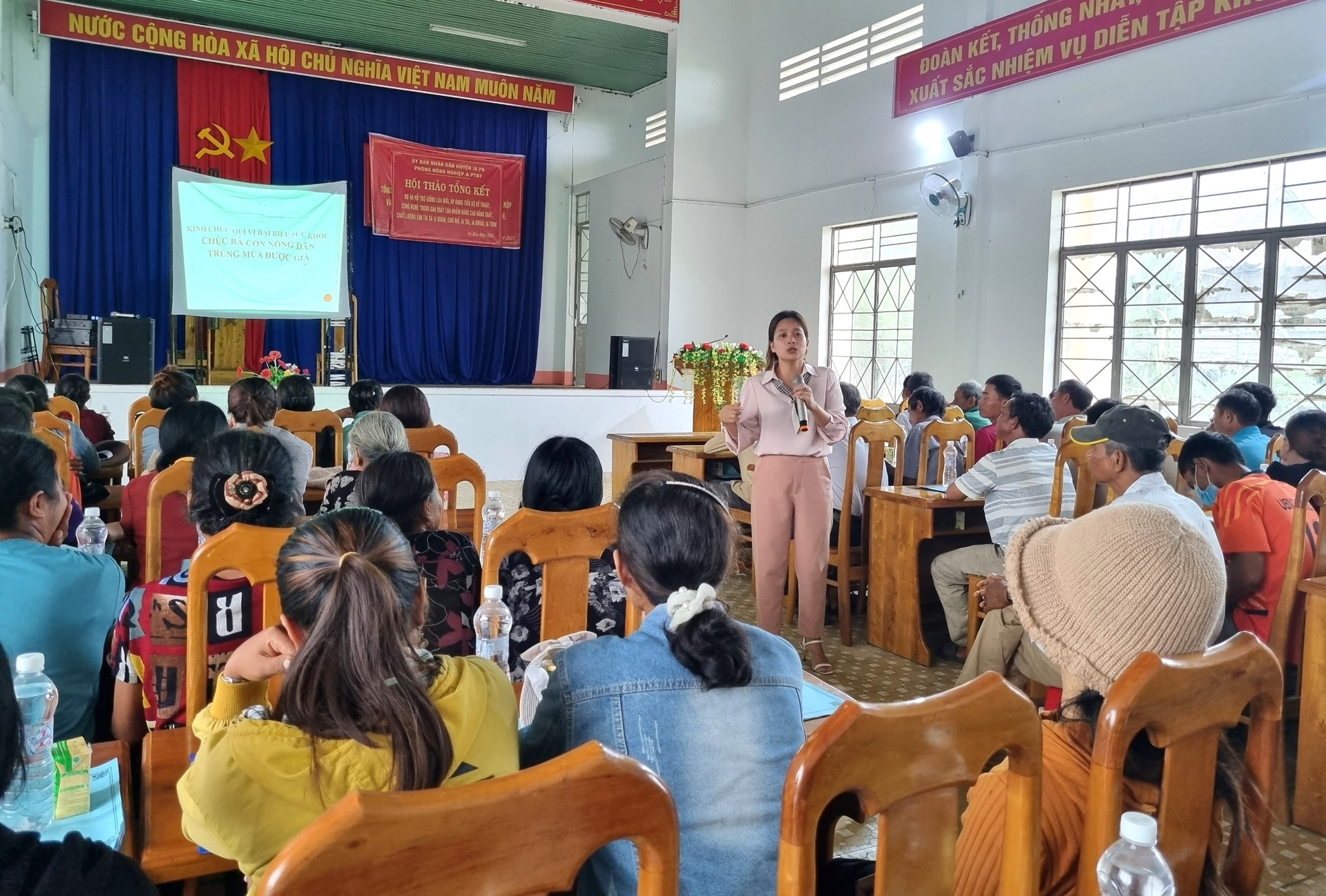 ‘Cơn sốt’ giống lúa TBR97 ở vùng đất khó Ia Pa