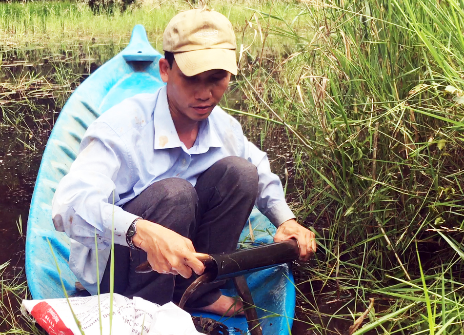 Bí quyết bắt lươn đồng béo vàng dưới cánh rừng U Minh Hạ