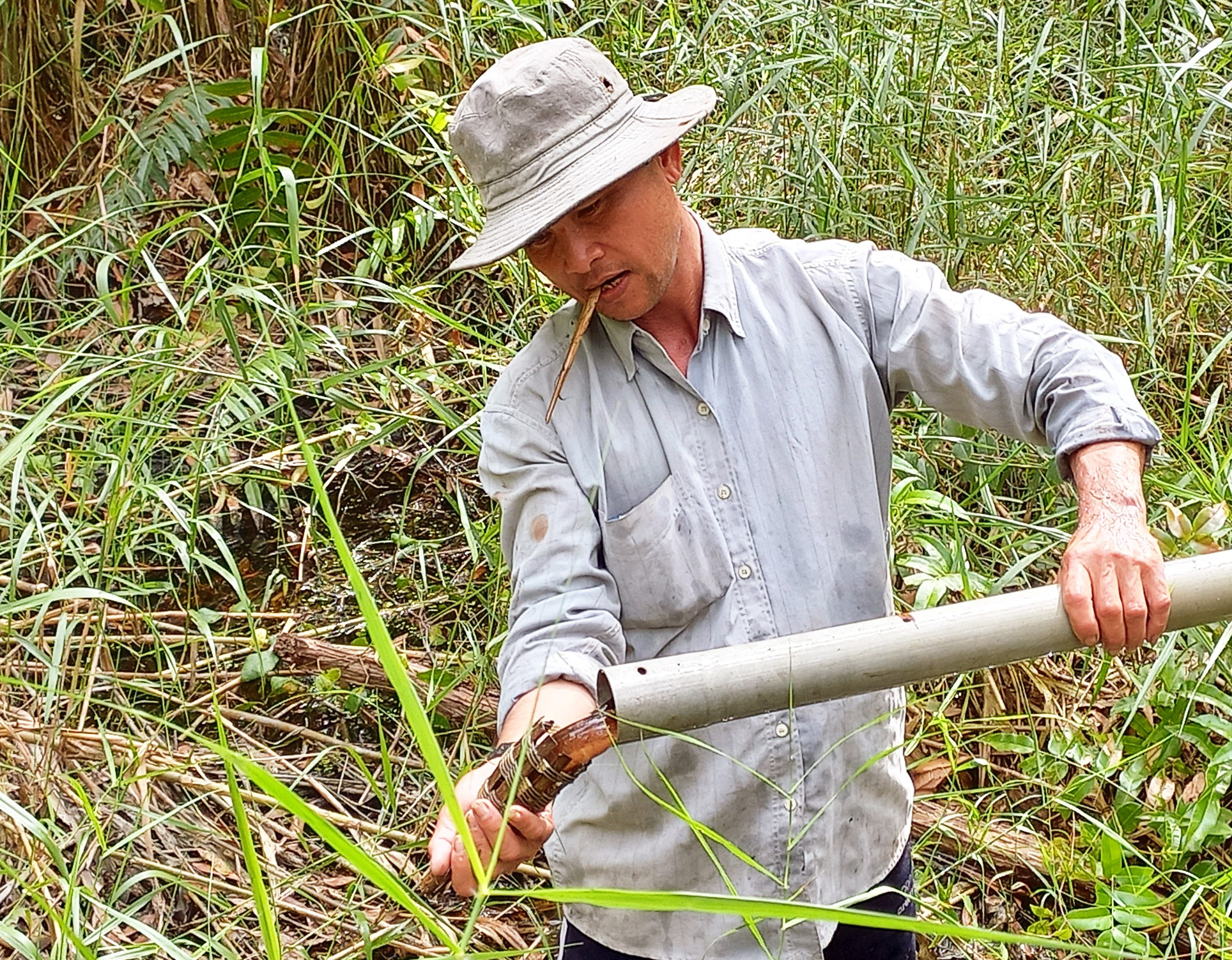 Bí quyết bắt lươn đồng béo vàng dưới cánh rừng U Minh Hạ