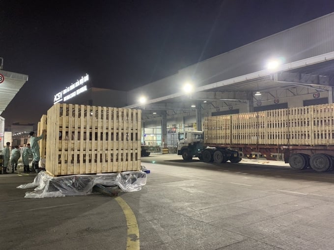 Dabaco Thanh Hóa tiếp tục nhập 600 lợn giống cụ kỵ từ Pháp về Việt Nam