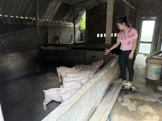 Đứt gãy hệ thống thú y cơ sở, khó kiểm soát dịch bệnh