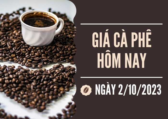 Giá cà phê hôm nay 2/10: Thị trường lặng sóng ngày đầu tuần Giá cà phê hôm nay 2/10: Thị trường lặng sóng ngày đầu tuần