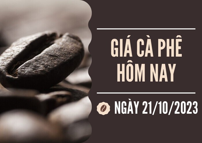 Giá cà phê hôm nay 21/10: Tiếp tục tăng 1.500 đồng/kg