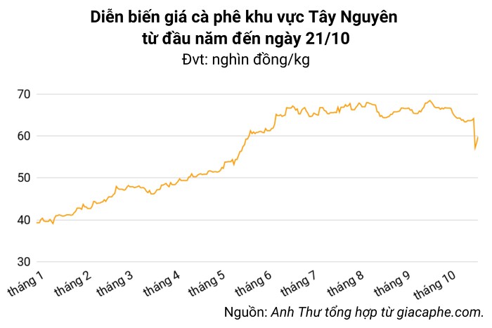 Giá cà phê hôm nay 21/10: Tiếp tục tăng 1.500 đồng/kg