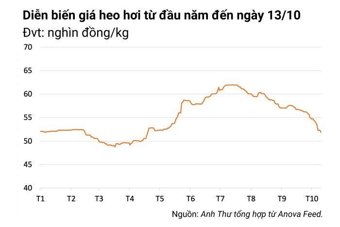 Giá heo hơi hôm nay 13/10: Tiếp tục giảm từ 1.000 đồng/kg đến 2.000 đồng/kg