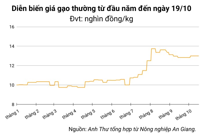 Giá lúa gạo hôm nay 19/10: Lúa tăng cao nhất 200 đồng/kg