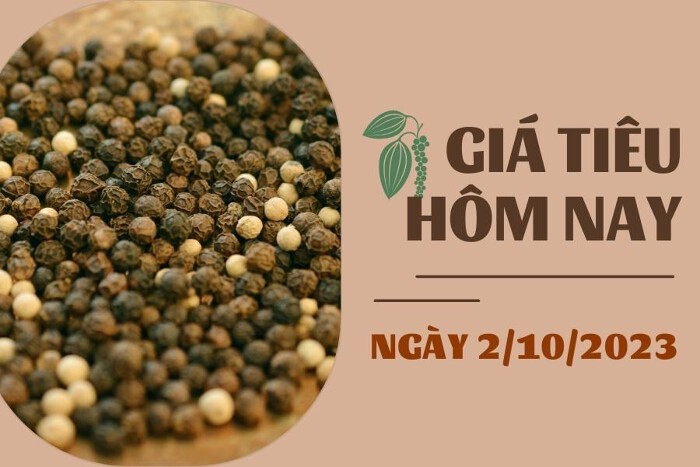 Giá tiêu hôm nay 2/10: Duy trì đi ngang, cao su tăng hơn 0,1% Giá tiêu hôm nay 2/10: Duy trì đi ngang, cao su tăng hơn 0,1%