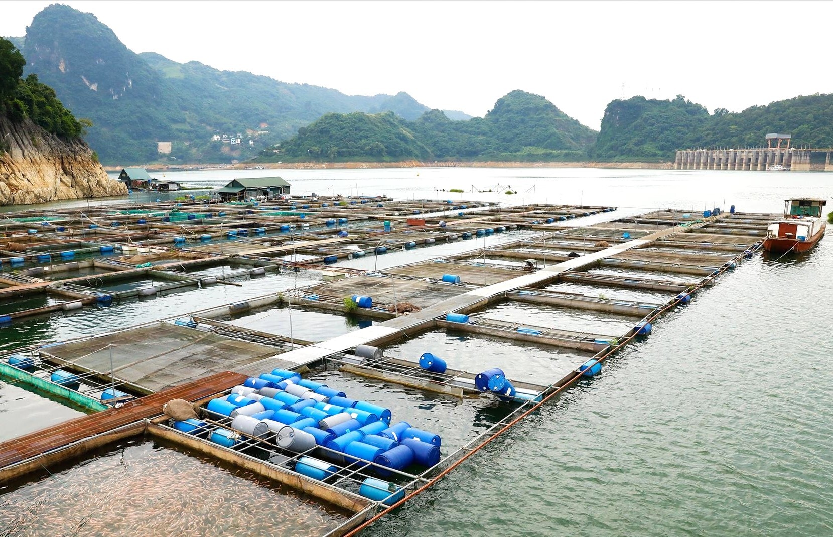 Sắp tổ chức lễ hội cá tôm sông Đà