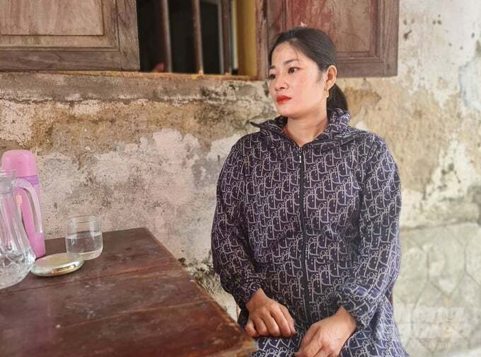 Vì sao 96 tỷ đồng chưa đến tay người chăn nuôi Nghệ An?