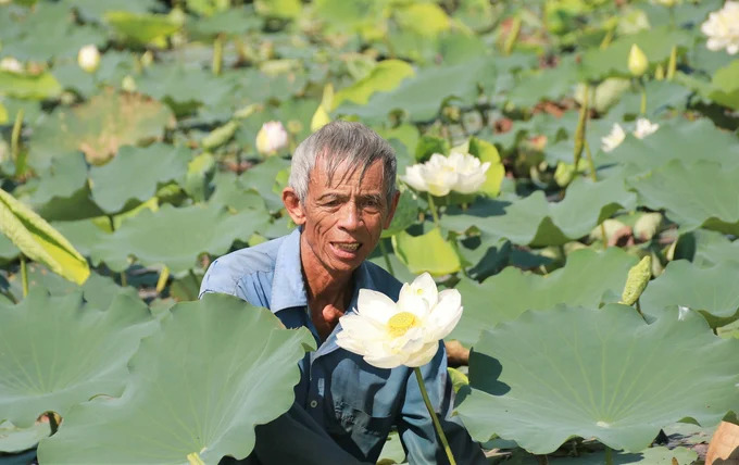 'Đánh thức' vùng ngoại ô [Bài 1]: Khai thác 2.000ha đất ven đô sẽ tăng thu nhập cho 40% dân số