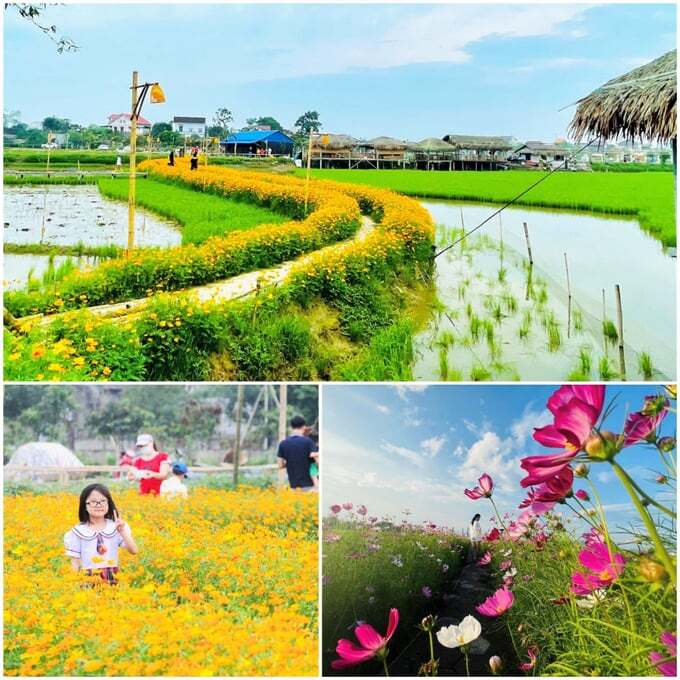 'Đánh thức' vùng ngoại ô [Bài 1]: Khai thác 2.000ha đất ven đô sẽ tăng thu nhập cho 40% dân số