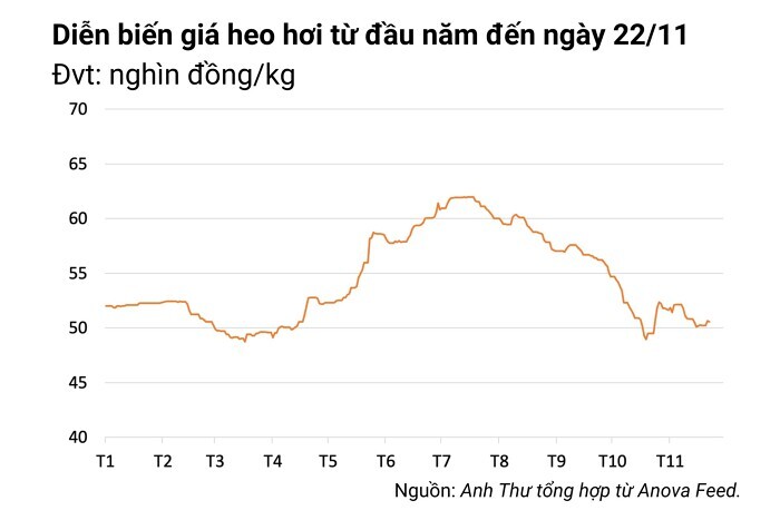 Giá heo hơi hôm nay 22/11: Giảm ở khu vực phía Nam
