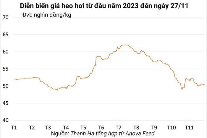 Giá heo hơi hôm nay 27/11: Cao nhất 53.000 đồng/kg Giá heo hơi hôm nay 27/11: Cao nhất 53.000 đồng/kg