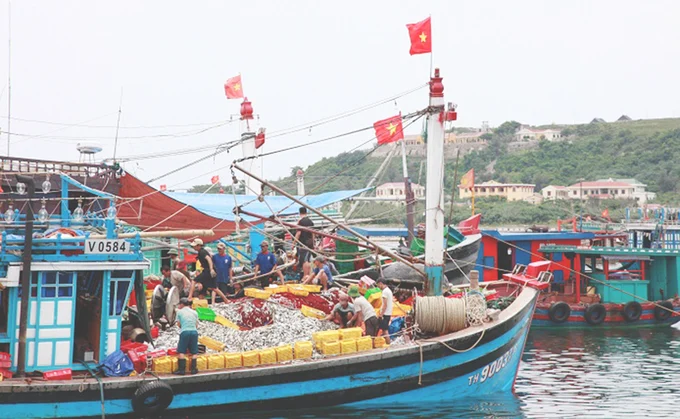 Cá nổi nhỏ còn nhiều tiềm năng khai thác ở biển Việt Nam