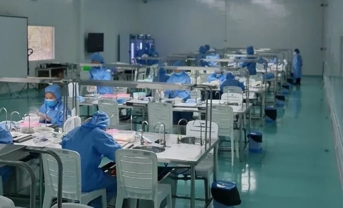 Để tổ yến đáp ứng chất lượng thị trường xuất khẩu