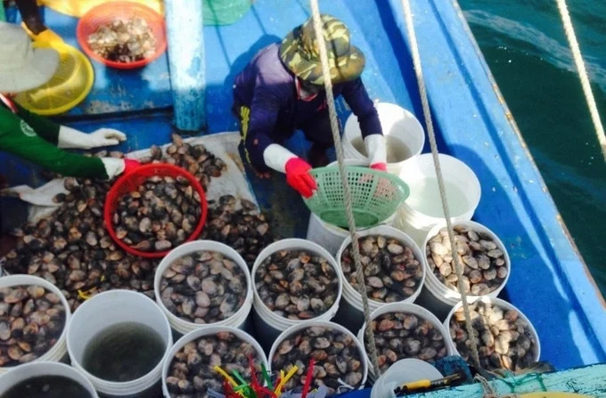 Đề xuất 5 giải pháp phát huy hiệu quả đồng quản lý nghề cá