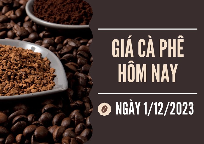 Giá cà phê hôm nay 1/12: Tăng hơn 1.000 đồng/kg, chạm mốc 60.000 đồng/kg