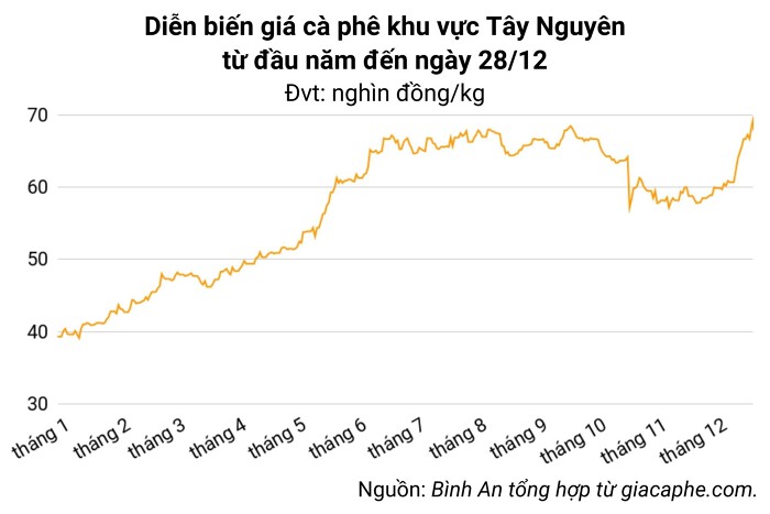 Giá cà phê hôm nay 28/12: Đồng loạt tăng tại thị trường trong nước