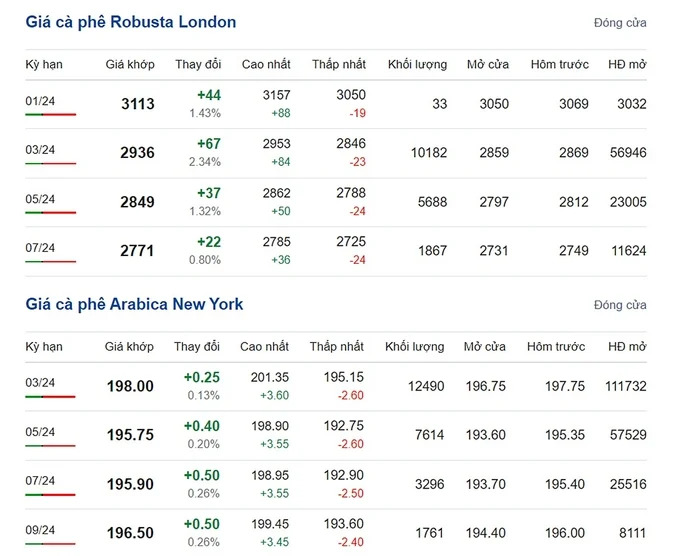 Giá cà phê hôm nay 29/12/2023: Tăng sốc lên gần mốc 70.000 đ/kg