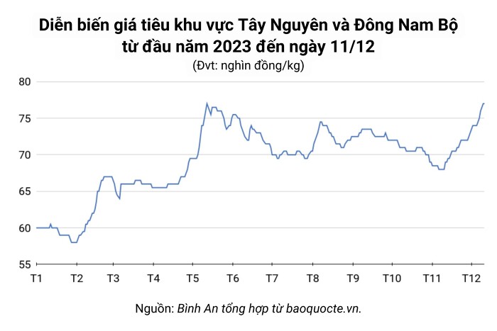 Giá tiêu hôm nay 11/12: Tiếp tục tăng, chạm ngưỡng 77.000 đồng/kg Giá tiêu hôm nay 11/12: Tiếp tục tăng, chạm ngưỡng 77.000 đồng/kg