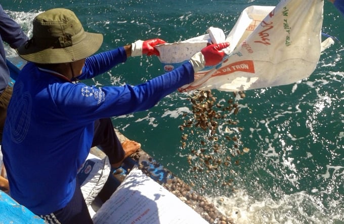 Ngăn chặn khai thác sò lông non