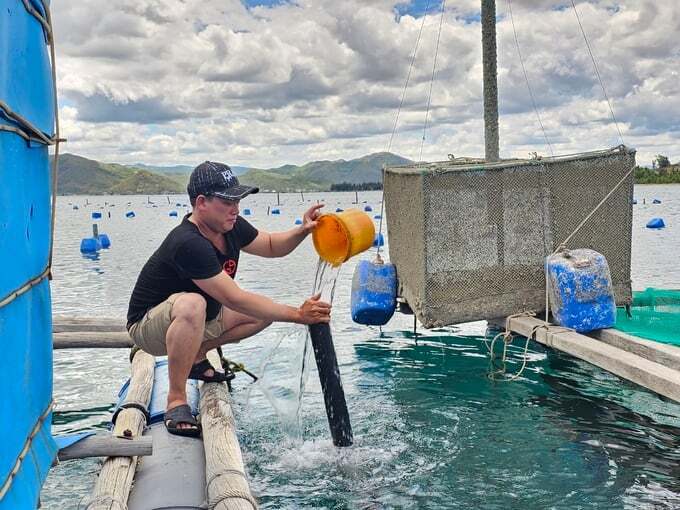 Quan trắc môi trường nước để phòng ngừa dịch bệnh thủy sản