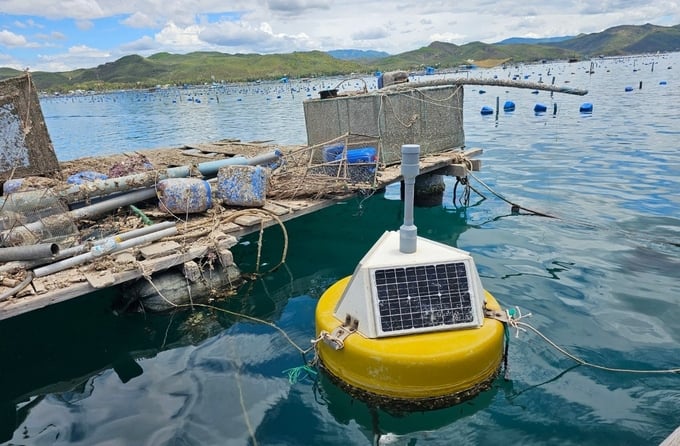 Quan trắc môi trường nước để phòng ngừa dịch bệnh thủy sản