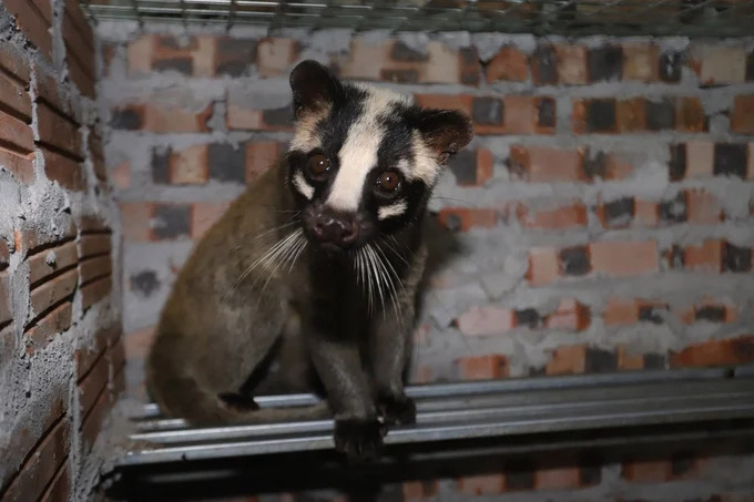 Việt Nam chủ động nhất khu vực trong quản lý dịch bệnh mới nổi