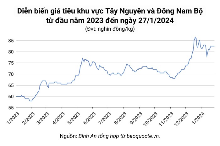 Giá tiêu hôm nay 27/1: Tiếp tục giảm tại khu vực Đông Nam Bộ