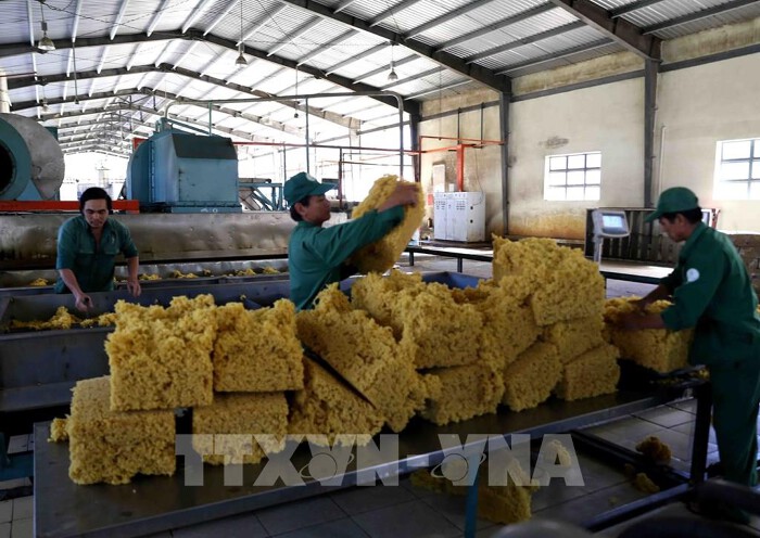 Ngành cao su đặt nhiều mục tiêu tăng trưởng lớn