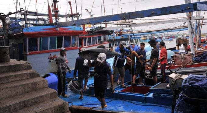 Ngư dân Phú Yên trúng cá ngừ đại dương
