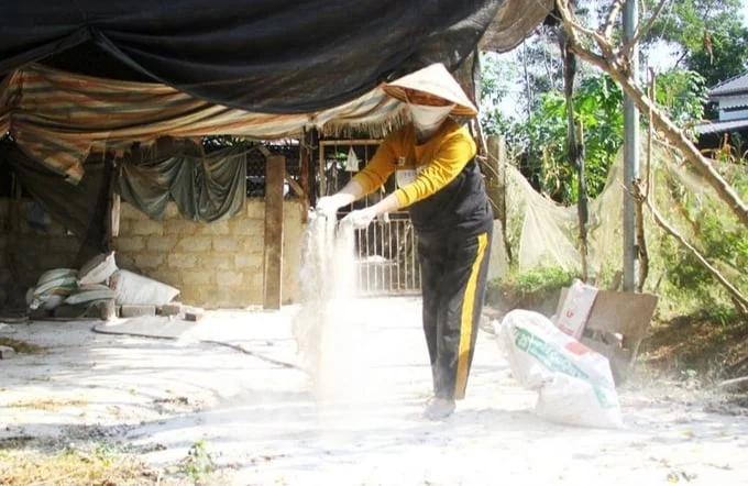 TP Sông Công công bố hết dịch tả lợn châu Phi