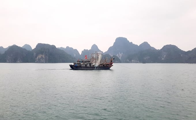 Áp dụng hệ thống phần mềm truy xuất nguồn gốc thủy sản