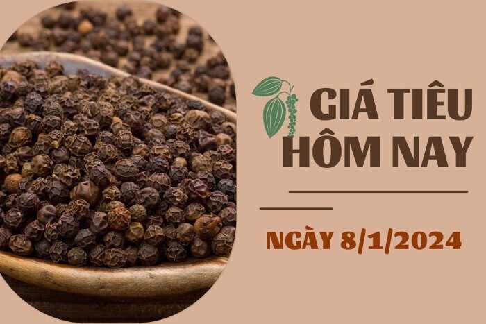 Giá tiêu hôm nay 8/2: Đi ngang trong khoảng 81.000 - 84.000 đồng/kg