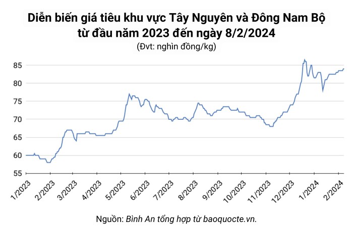 Giá tiêu hôm nay 8/2: Đi ngang trong khoảng 81.000 - 84.000 đồng/kg