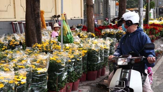 Sát Tết, chợ hoa TP.HCM vẫn vắng tanh