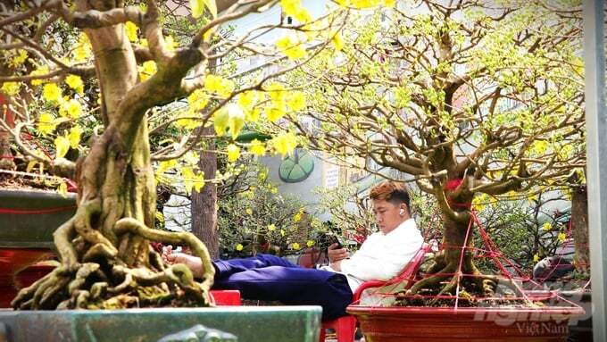 Sát Tết, chợ hoa TP.HCM vẫn vắng tanh